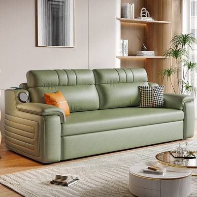 Jieshun Light Luxury Telescopic Double-Seat Sofa Bed With Storage And Audio