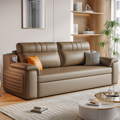 Jieshun Light Luxury Telescopic Double-Seat Sofa Bed With Storage And Audio